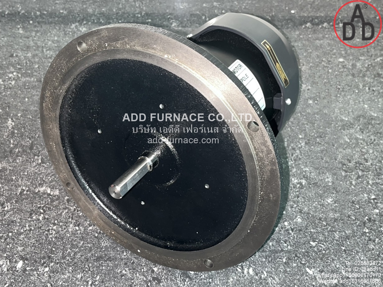 Pilot Burner Motor 220V 200W 2Pole (11)